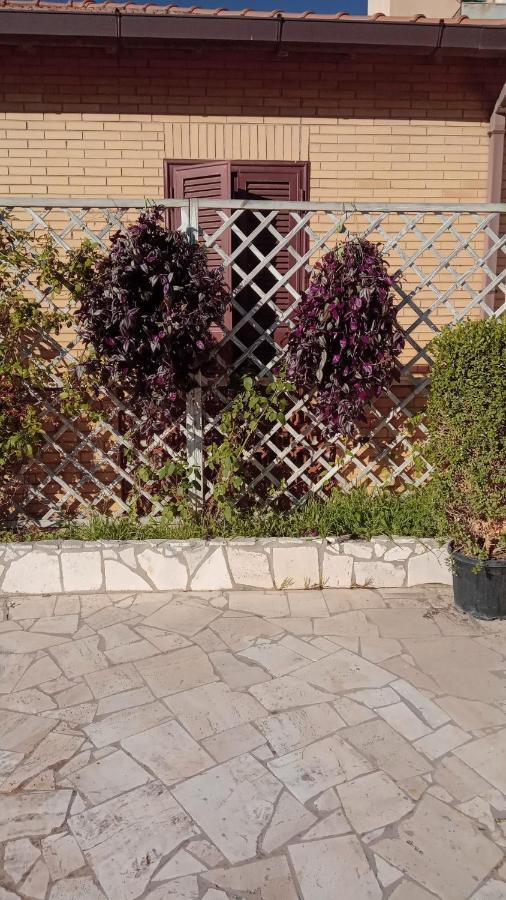 Rosilienza Suites Private Spa, Patio Garden Free Trasfer To & From Airport Fiumicino Kültér fotó